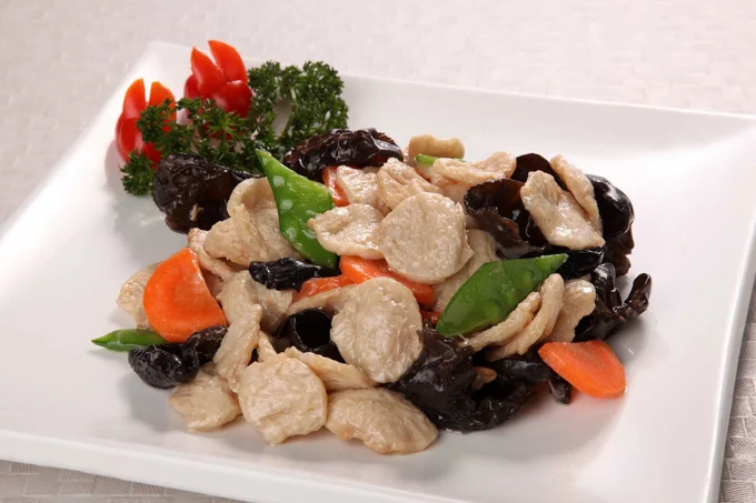 Vegetarian meat