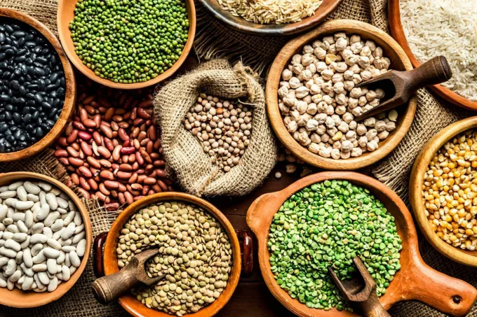 plant protein foods