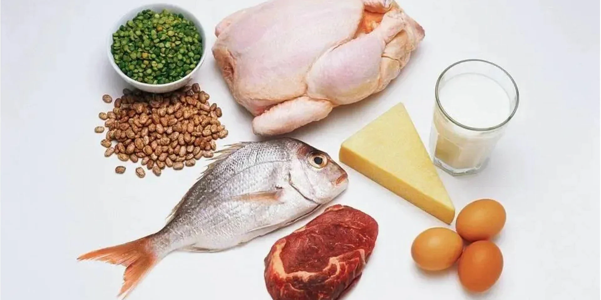 protein