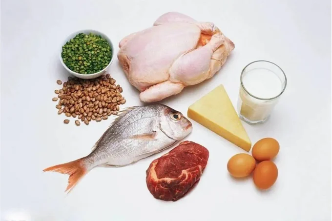 protein