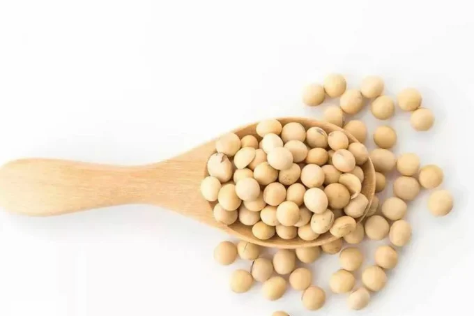 soybean