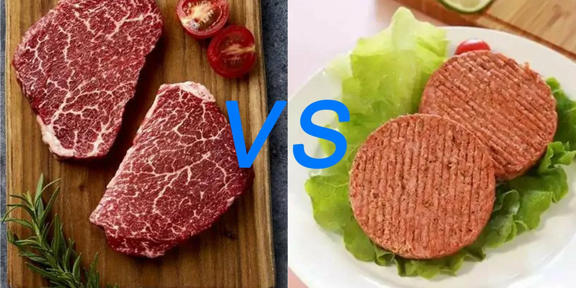 Plant VS Animal meat