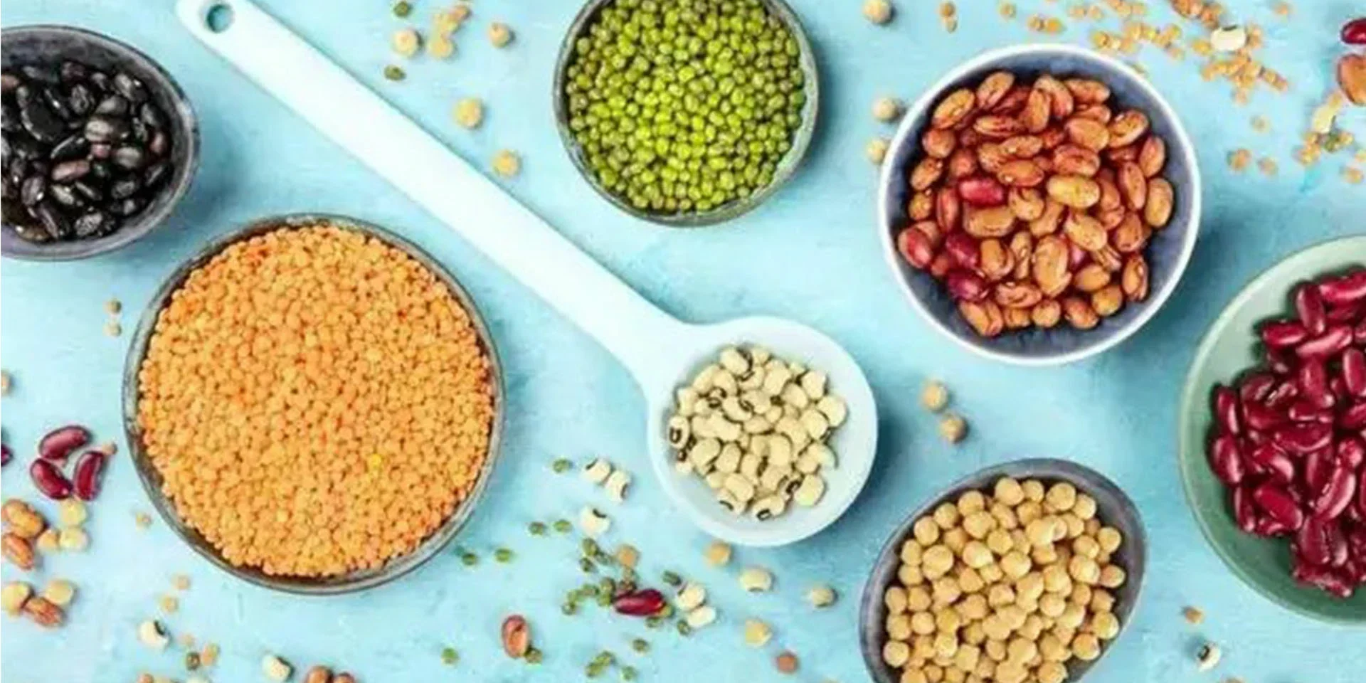 plant protein
