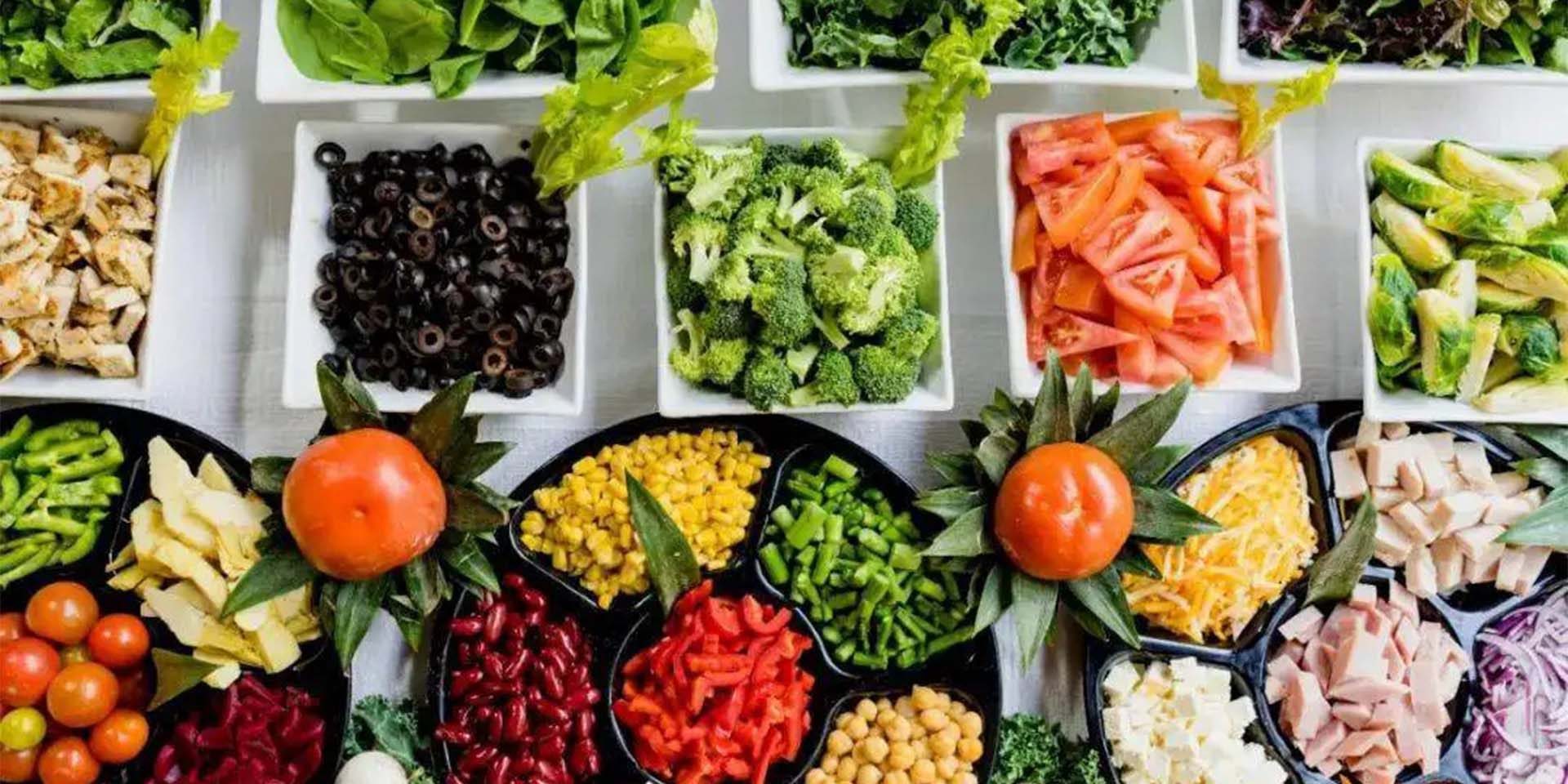 plant protein food