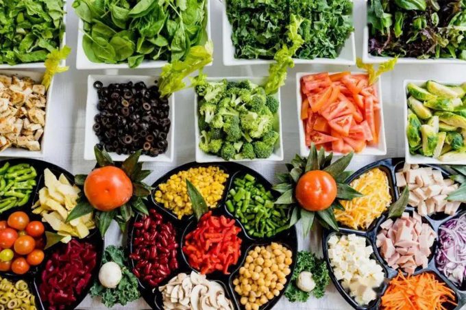 plant protein food