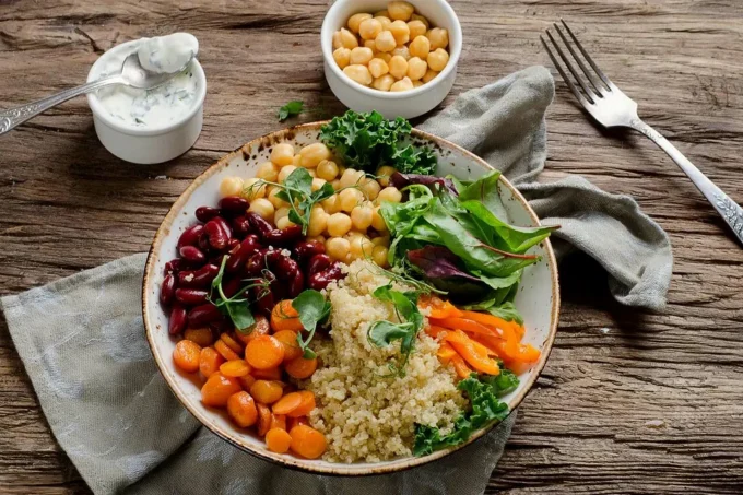 vegetarian diet