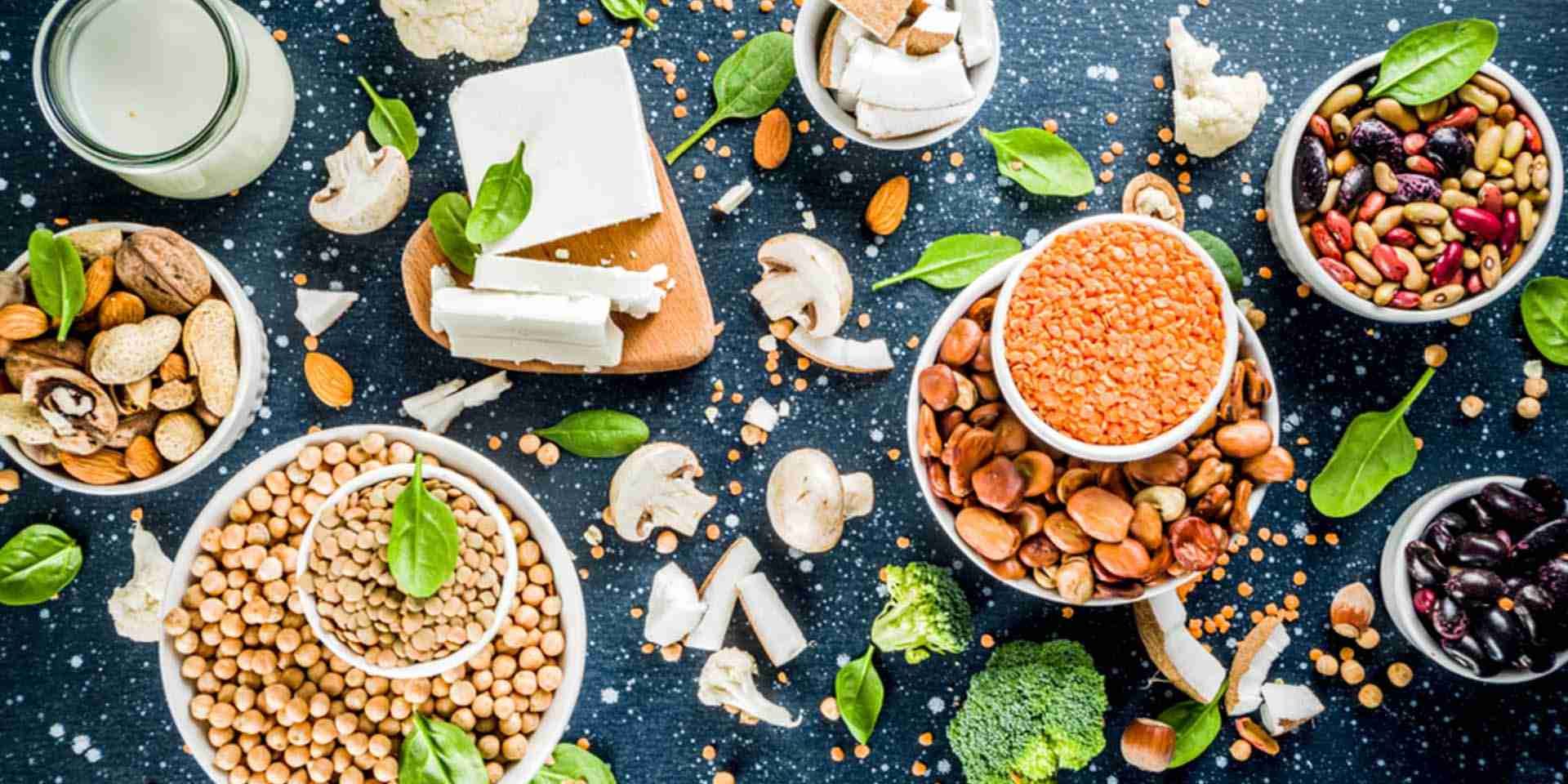 Alternative protein Alternative protein