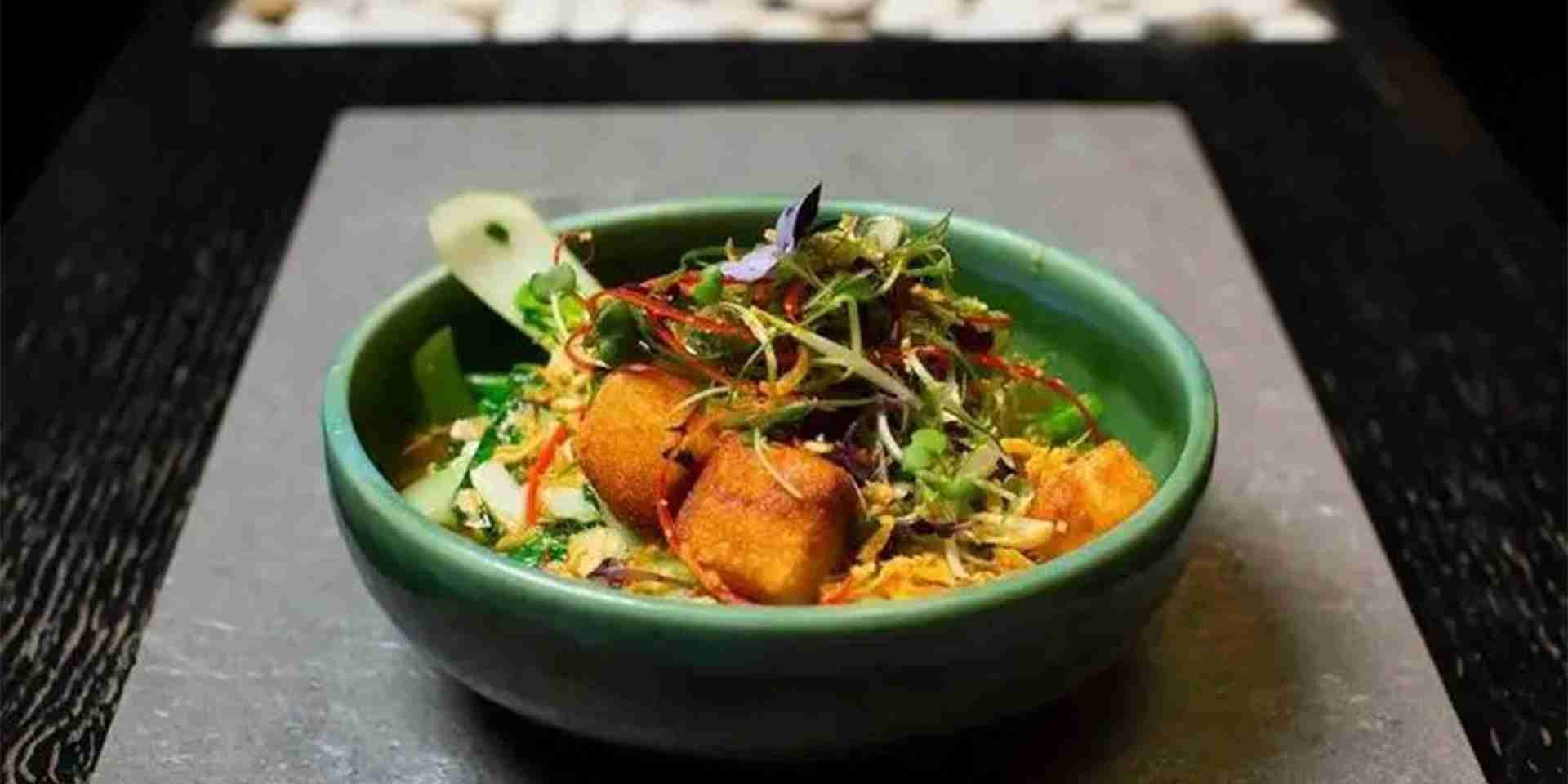 vegetarian diet vegetarian diet