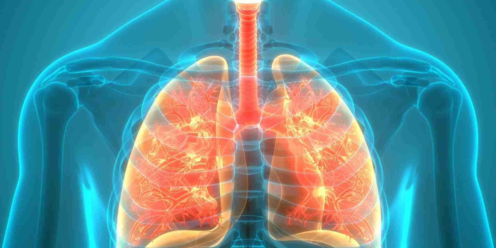 Heart and lung function