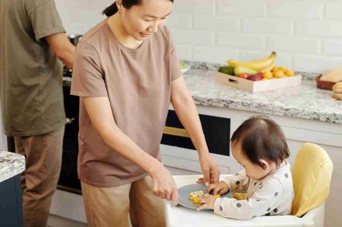 edible vegetable protein edible vegetable protein