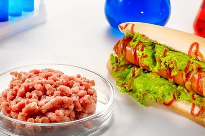 Plant-based alternatives