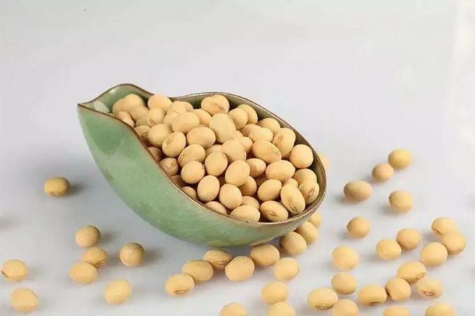 Soybean